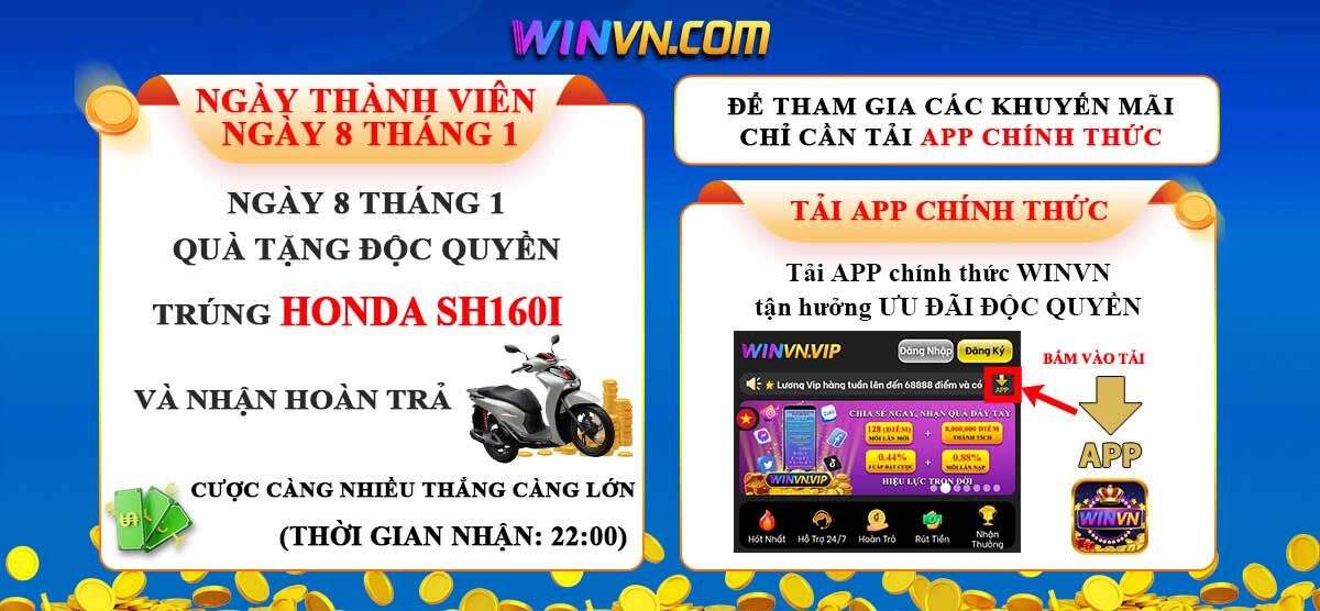 Giới thiệu Winvn