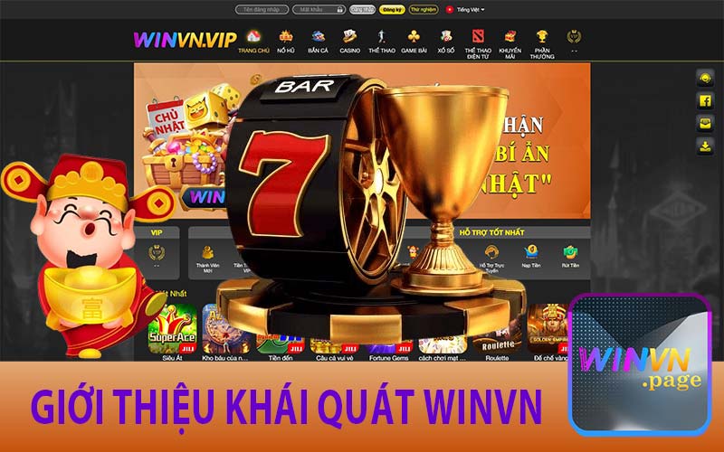 Giới thiệu khái quát Winvn